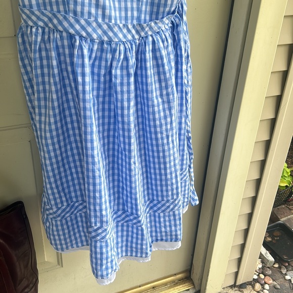 COSPLAY!!  WICKED!!  Dorothy dress/ALICE/ Wizard Of Oz Dress EUC  Sz L/ XL~~ - Picture 3 of 15